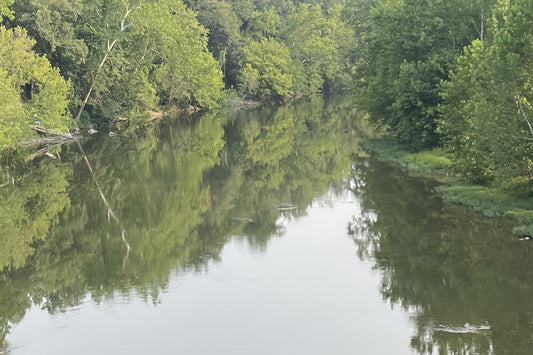 Smallmouth Bass Streams Fly Fishing Report - August 12, 2026