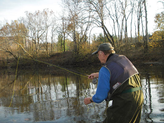 Smallmouth Bass Streams Fly Fishing