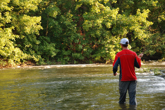 Smallmouth Bass Streams Fly Fishing Report- August 1, 2017