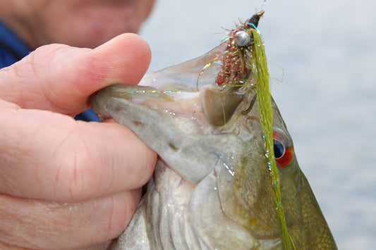 Smallmouth Bass Streams Fly Fishing Report - April 23, 2025