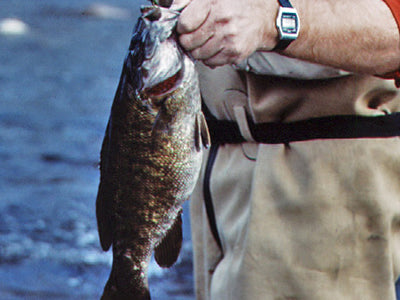 Smallmouth Bass Fly Fishing Report - May 20, 2021
