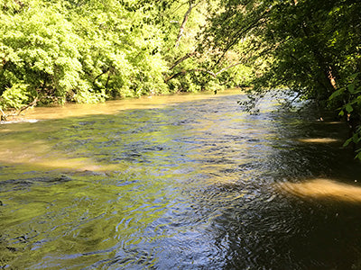 Updated Smallmouth Bass Streams Fly Fishing Report - May 26, 2020