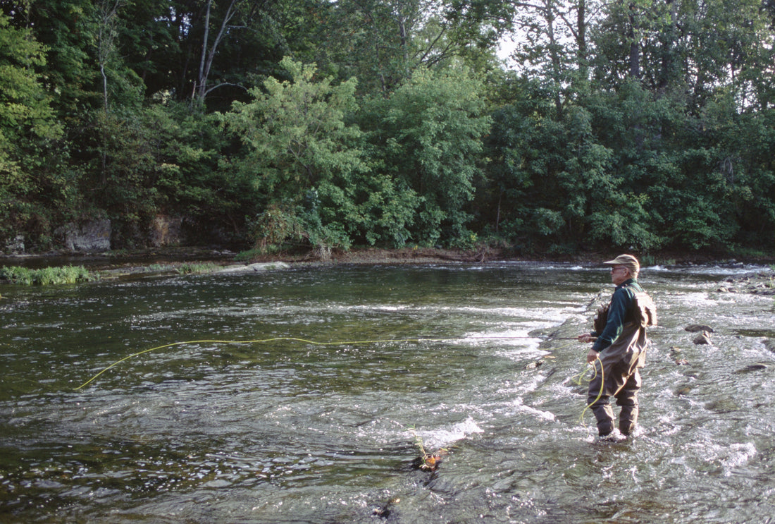 Delayed Harvest and Stocked Trout Streams Fly Fishing Report- May 23, 2017
