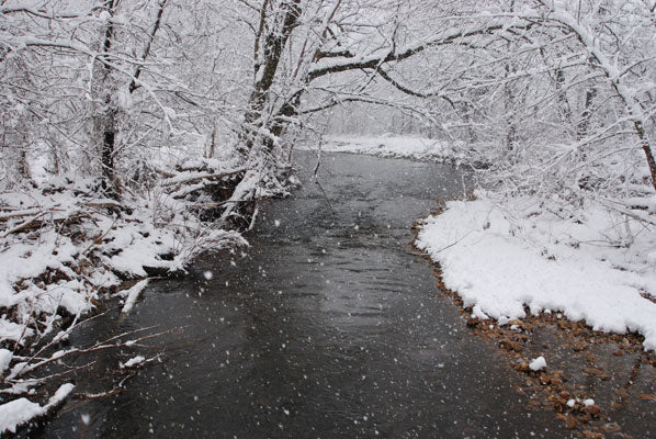 Snow covered Trout Streams