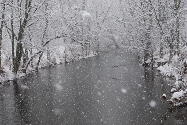 Delayed Harvest and Large Stocked Trout Streams Fly Fishing Report- February 19, 2018