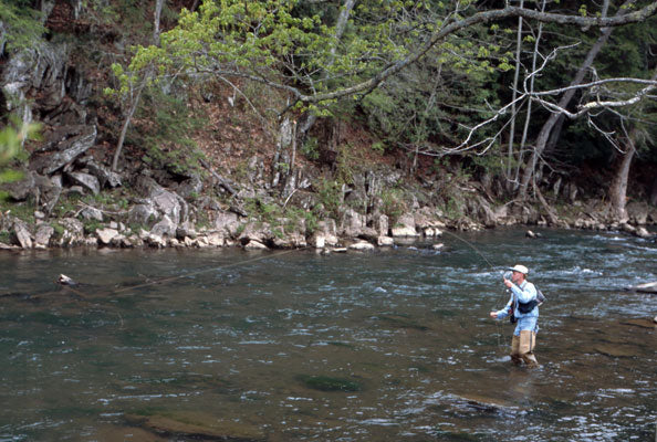 Delayed Harvest and Large Stocked Trout Streams Fly Fishing Report- April 3, 2018