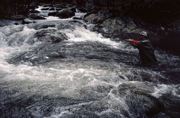 Delayed Harvest and Large Stocked Trout Streams Fly Fishing Report- February 6, 2018
