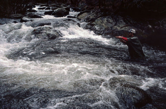 Delayed Harvest and Large Stocked Trout Streams Fly Fishing Report- February 6, 2018