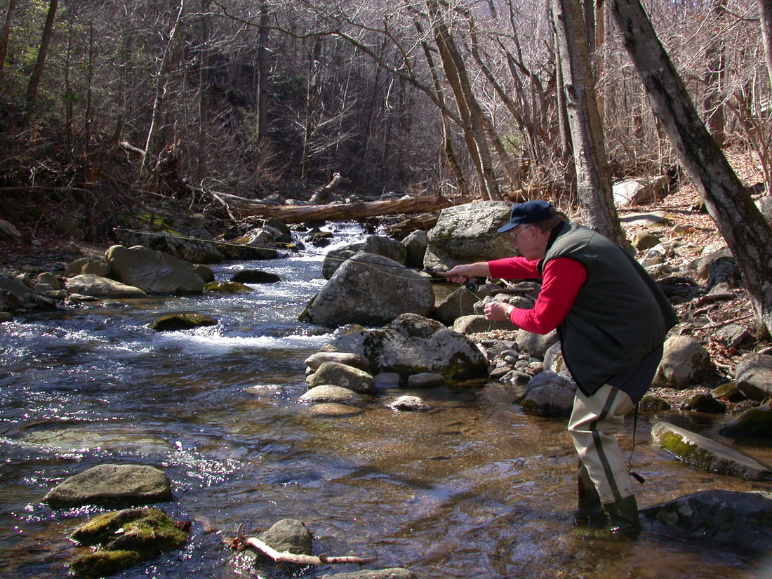 Harry Mountain Trout Stream