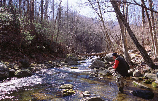 Mountain Trout Streams Fly Fishing Report- February 19, 2018