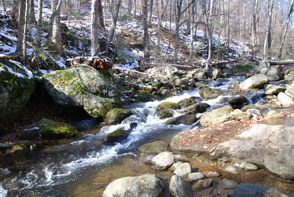 Snow covered Mountain Trout Stream