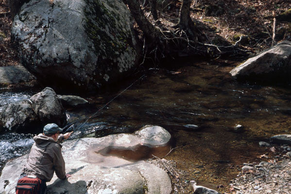 Mountain Trout Streams Fly Fishing