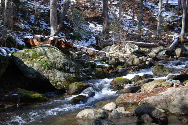 Snow covered Mountain Trout Streams