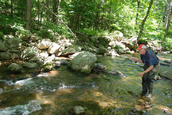 Moutain Trout Streams Fly Fishing Report- August 1, 2017
