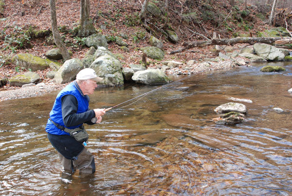 Harry Murray Mountain Trout Stream Fly Fishing