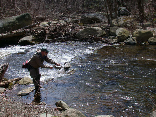 Mountain Trout Streams Fly Fishing