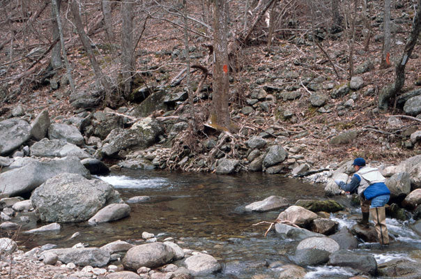 Mountain Trout Streams Fly Fishing Report- April 16, 2018