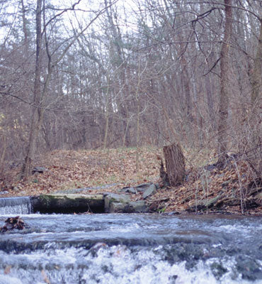 Mountain Trout Streams Fly Fishing Report- January 23, 2018