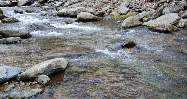Mountain Trout Streams Fly Fishing