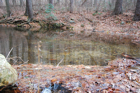 Mountain Trout Streams Fly Fishing Report- December 5, 2017