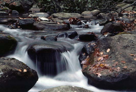 High Gradient Sections Mountain Trout Streams