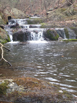 Mountain Trout Streams Winter