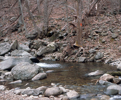Low Mountain Trout Stream