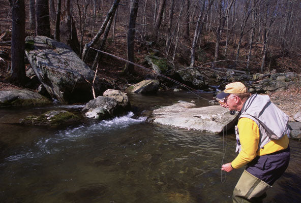 Harry Murray Mountain Trout Stream