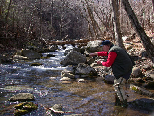 Mountain Trout Streams Fly Fishing Report- March 26, 2018