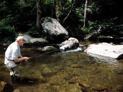 Mountain Trout Streams Fly Fishing Report - August 21, 2018