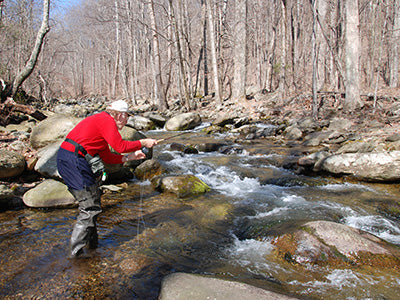 Mountain Trout Streams Fly Fishing Report - February 20, 2020