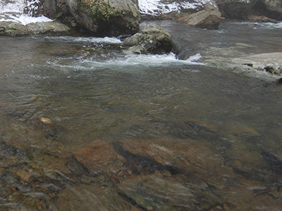 Mountain Trout Streams Fly Fishing Report - January 2, 2020