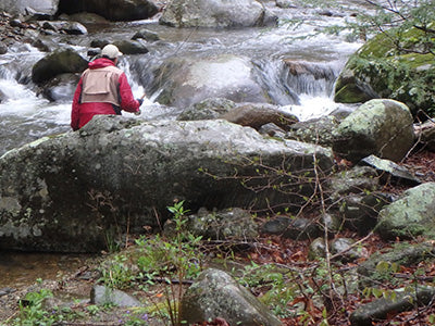 Mountain Trout Streams Fly Fishing Report - March 4, 2021