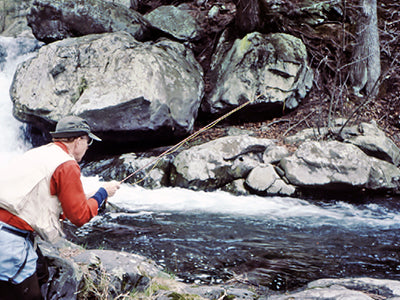 Mountain Trout Streams Fly Fishing Report -March 10, 2022