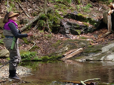Mountain Trout Streams Fly Fishing Report - March 11, 2021