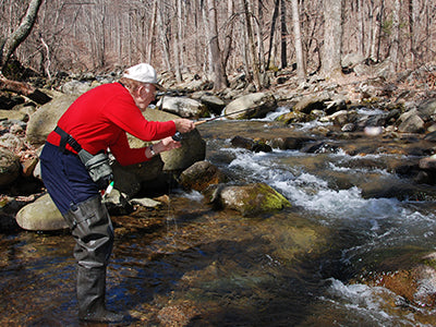 Mountain Trout Streams Fly Fishing Report - April 7, 2022