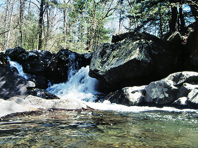 Mountain Trout Streams Fly Fishing Report - April 16, 2021