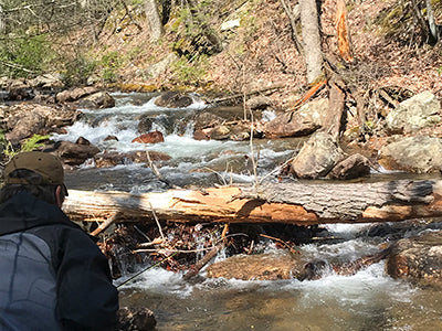 Mountain Trout Streams Fly Fishing Report - April 30, 2020