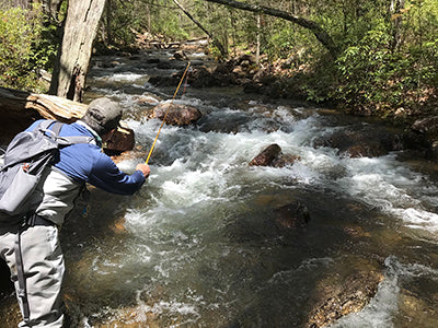Mountain Trout Streams Fly Fishing Report - May 7, 2020