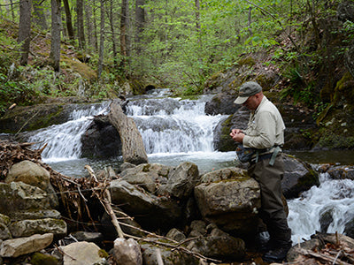 Mountain Trout Streams Fly Fishing Report - May 21, 2020