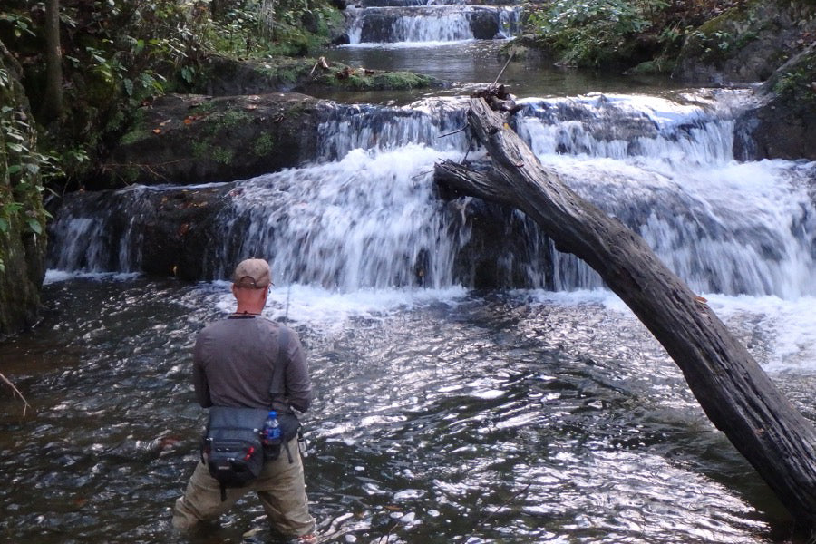 Mountain Trout Streams Fly Fishing Report - June 16 2022