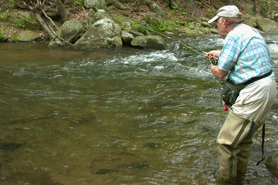 Mountain Trout Streams Fly Fishing Report - June 22, 2022