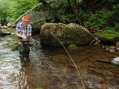 Mountain Trout Streams Fly Fishing Report - July 1, 2021