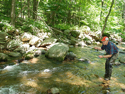 Mountain Trout Streams Fly Fishing Report - July 23, 2020