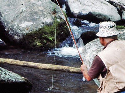 Mountain Trout Streams Fly Fishing Report - August 12, 2021