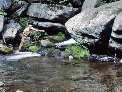 Mountain Trout Stream Fly Fishing Report - June 3, 2021