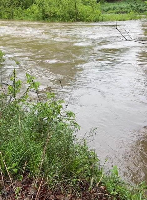 Smallmouth Bass Streams Fly Fishing Report - May 23, 2026
