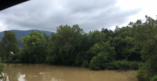 North Fork of the Shenandoah River Status - August 29, 2021