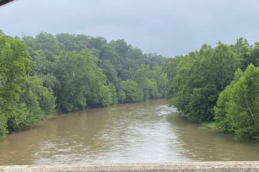 Smallmouth Bass Streams Fly Fishing Report - July 19, 2025