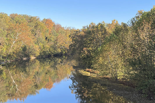 Smallmouth Bass Streams Fly Fishing Report - October 16, 2025
